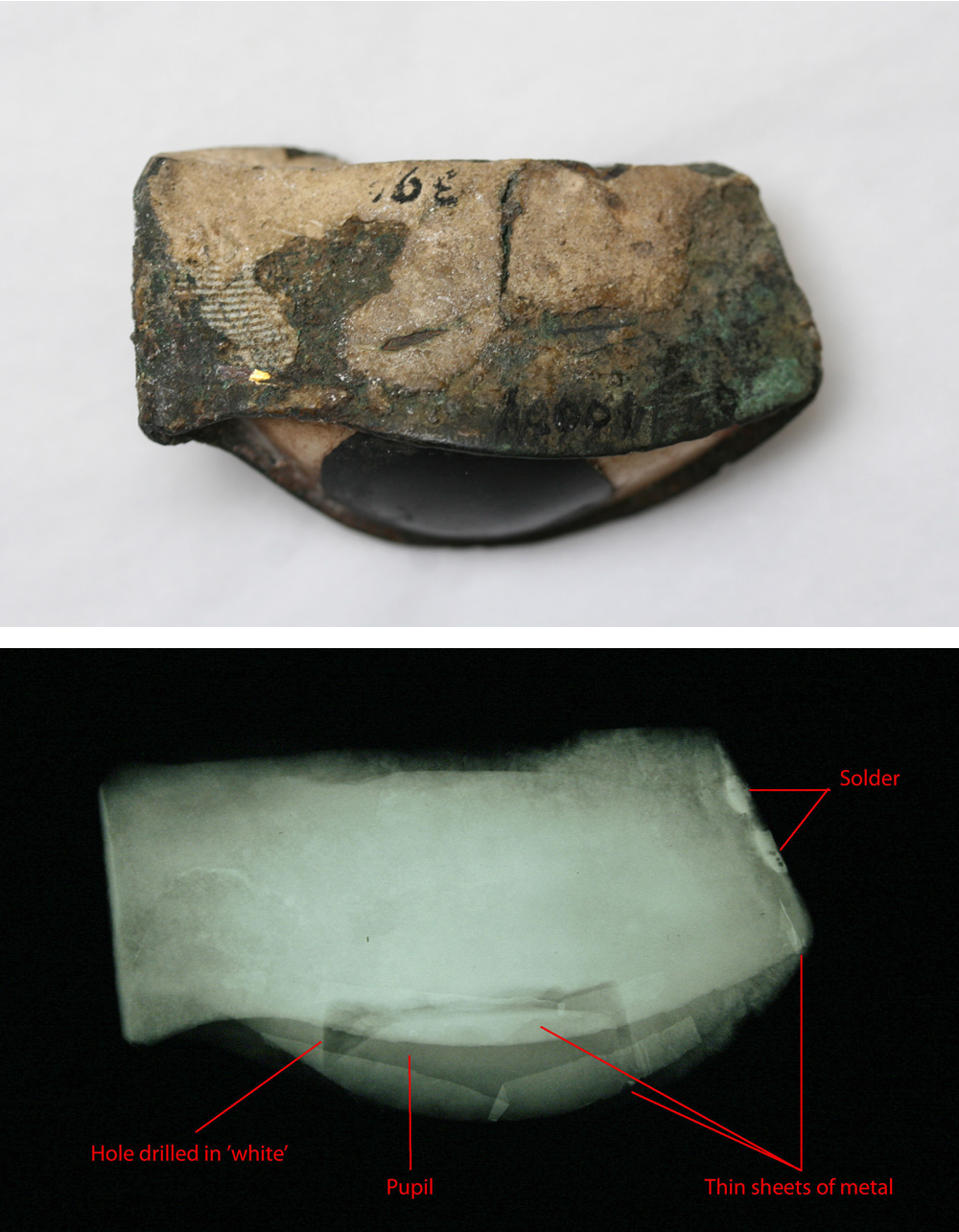 Ancient Egyptian inlaid eye, E.GA.4001.1943: (top) view of the eye from below; (bottom) x-radiograph of the eye from the same position, showing some of the technical features