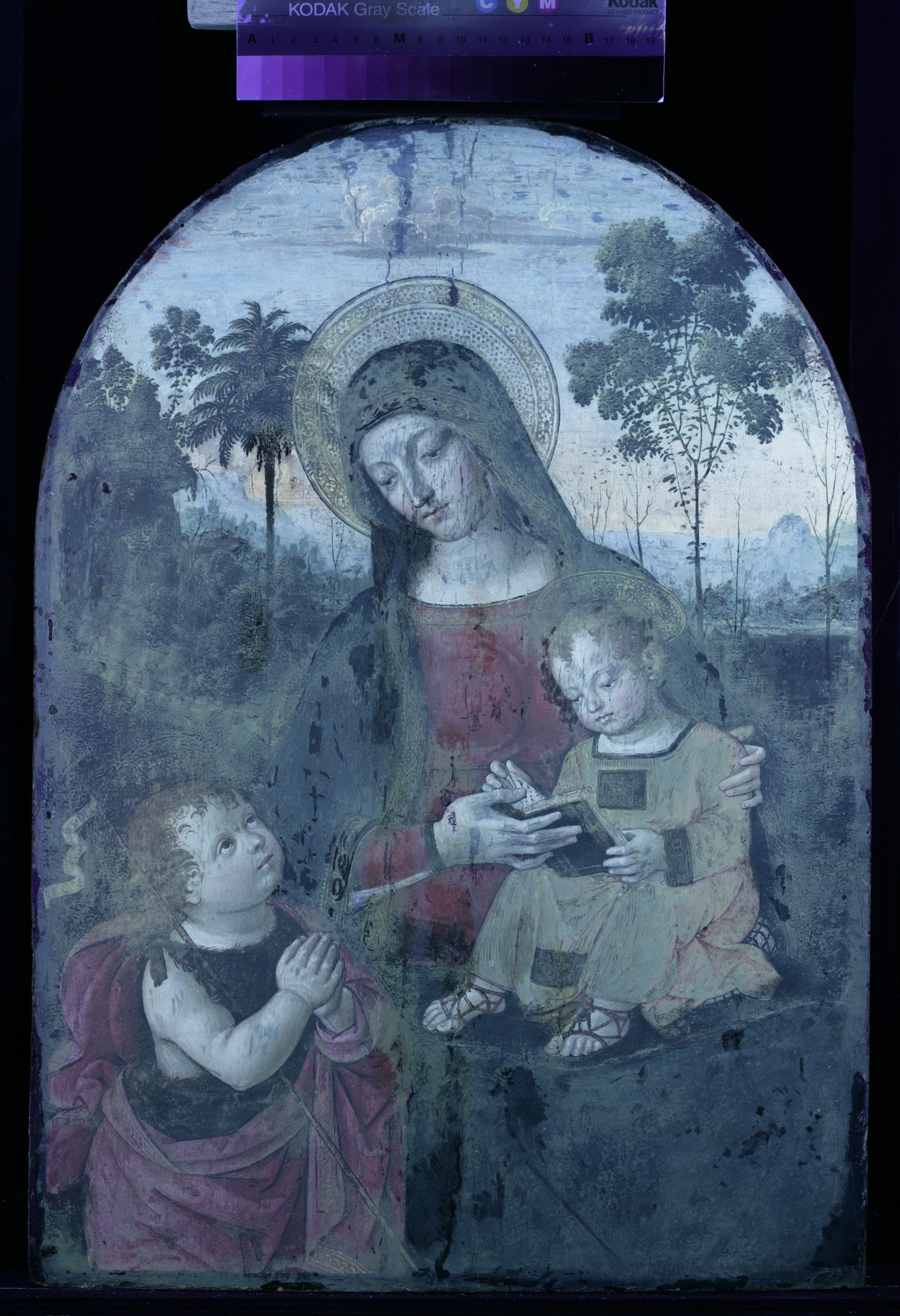 Fig. 4 Ultraviolet light photograph of Virgin and Child before treatment showing numerous campaigns of previous restoration (©Rayner)