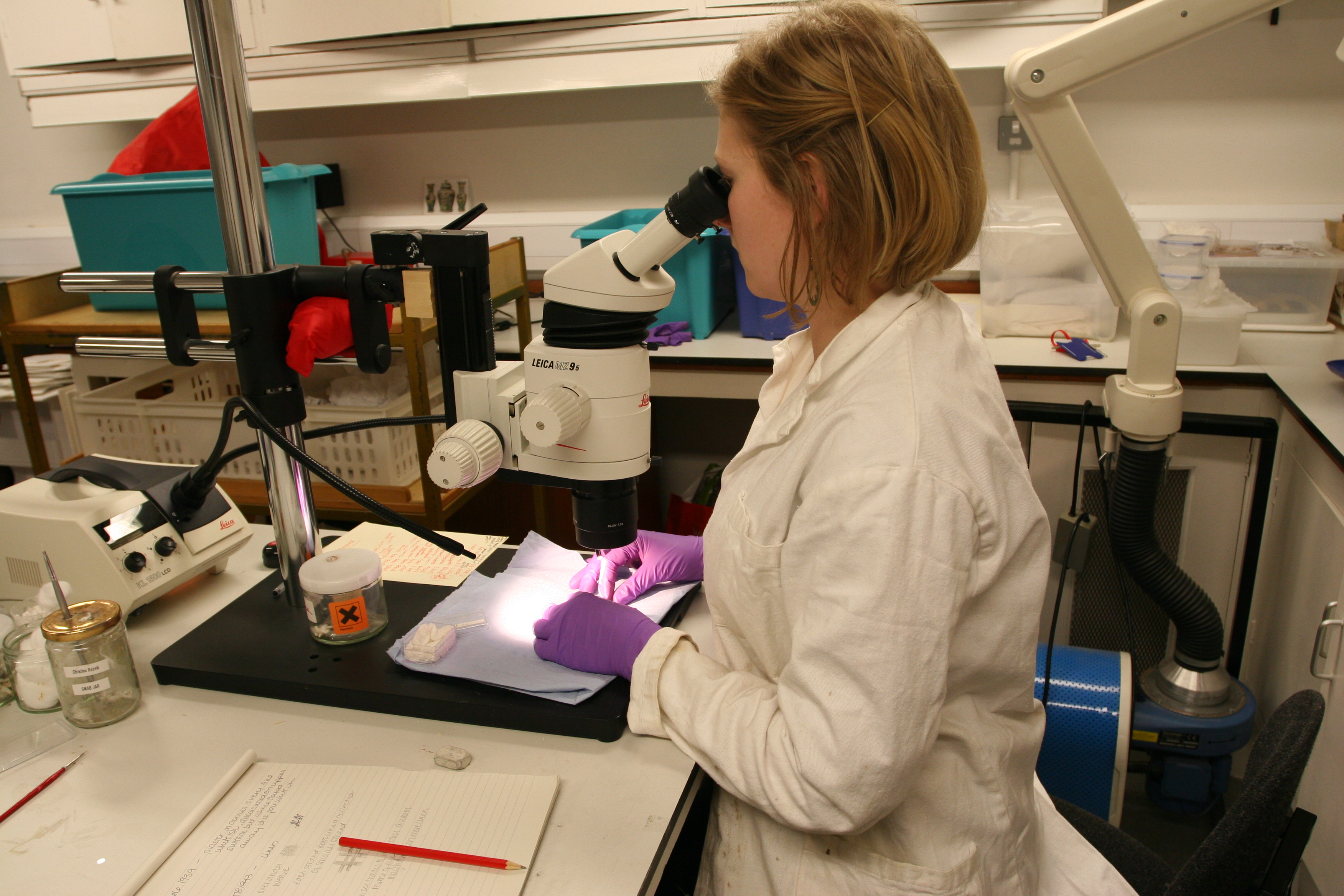 Alex Zappa examining an inlaid ancient Egyptian eye under the microscope