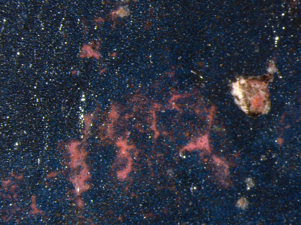 Fig. 3 Microscopic detail of pink paint showing through the abraded azurite of the Virgin’s robe in Virgin and Child (©Rayner)