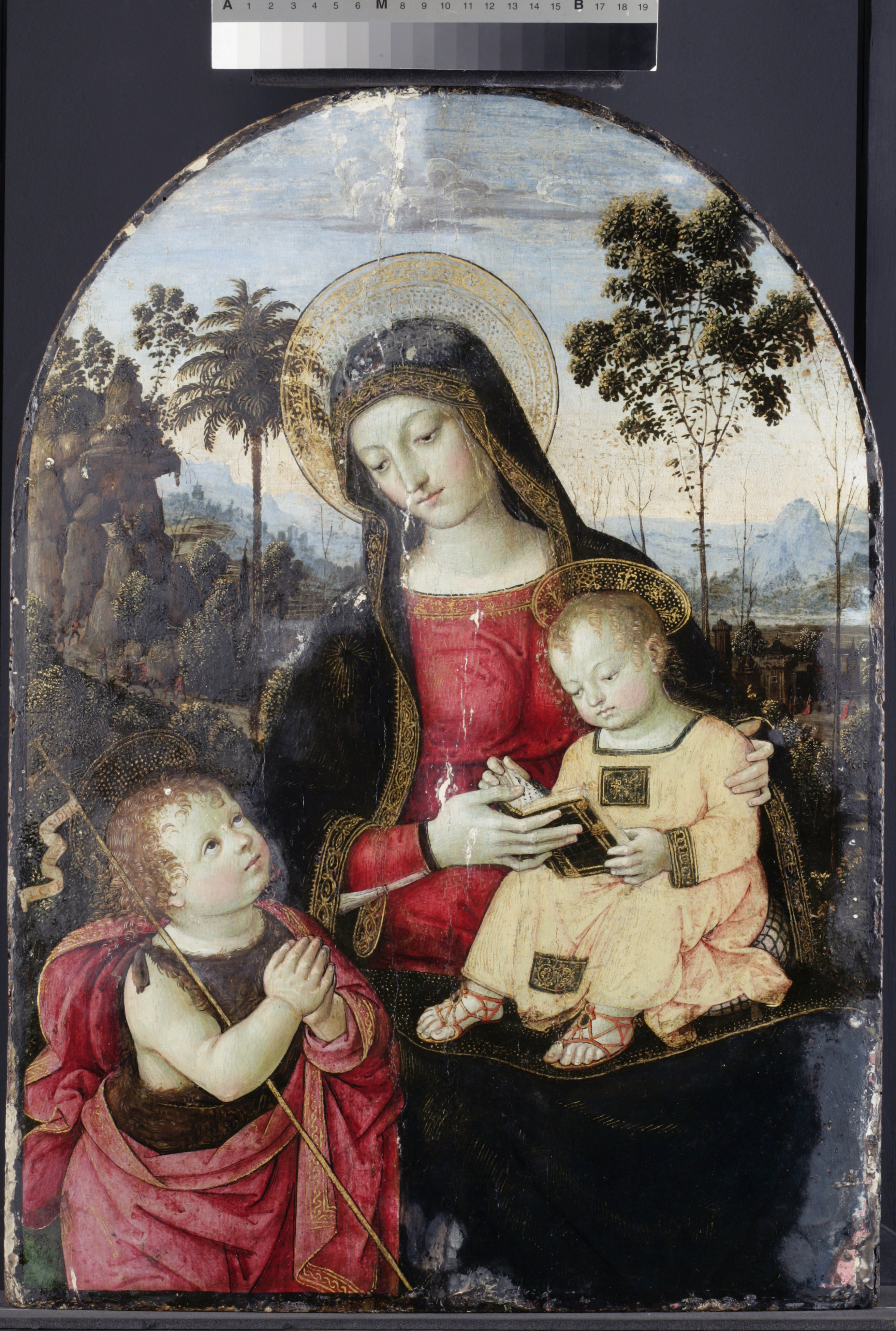 Fig. 5 Virgin and Child during treatment showing varnish removal in progress (©Rayner)